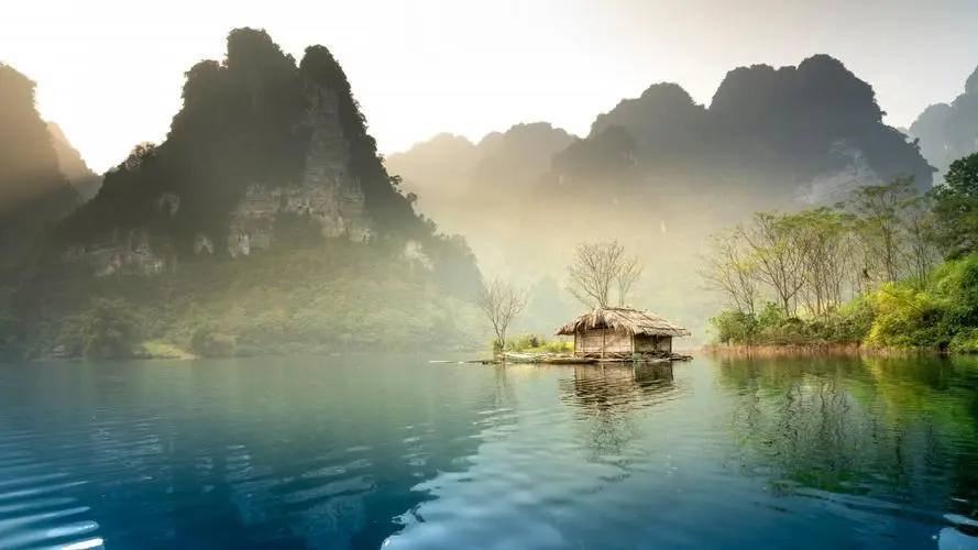 网络化高质量